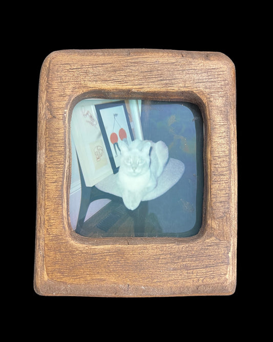 polaroid frame 5